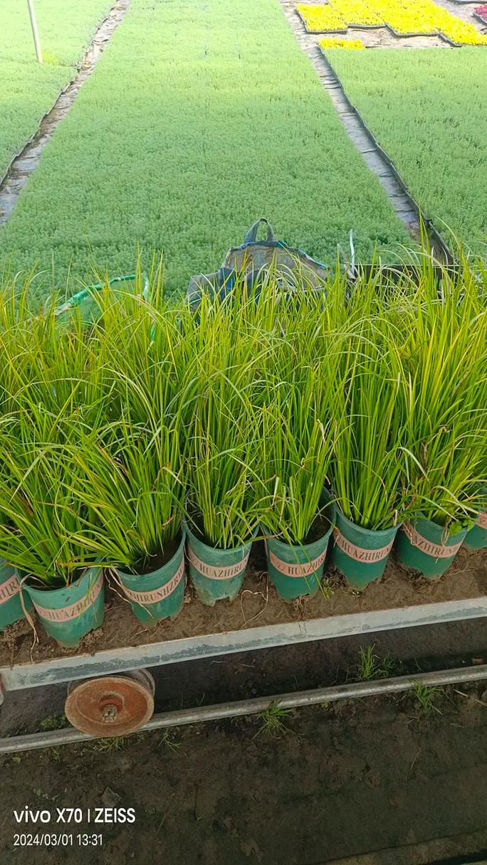 靈活電機組出租服務助力不同規(guī)模項目高效運作